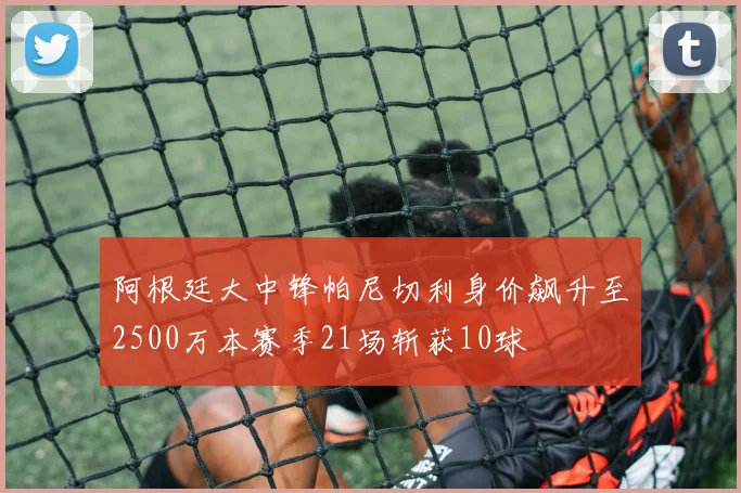 阿根廷大中锋帕尼切利身价飙升至2500万本赛季21场斩获10球